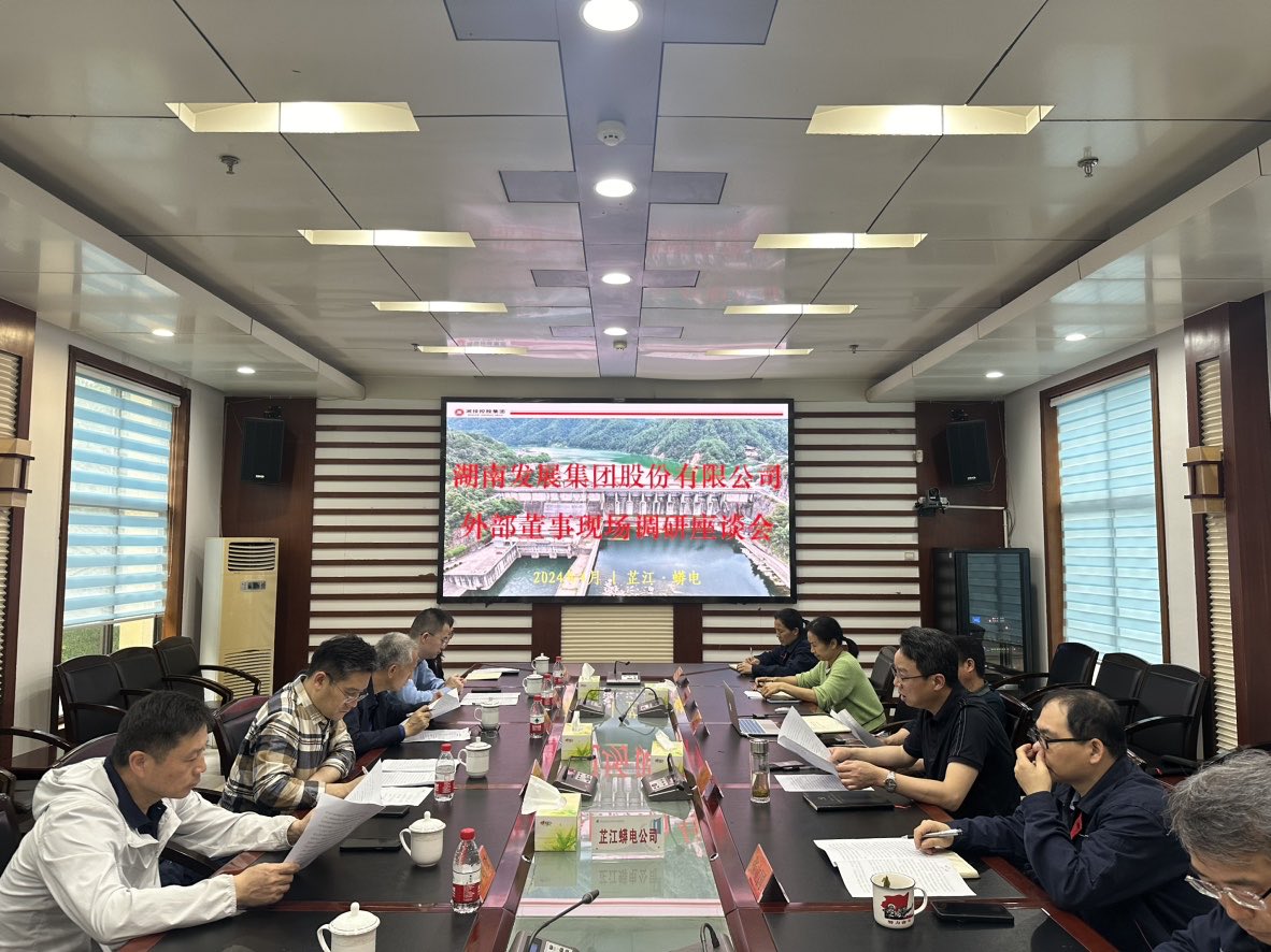 湖南發(fā)展外部董事赴部分所屬企業(yè)調研